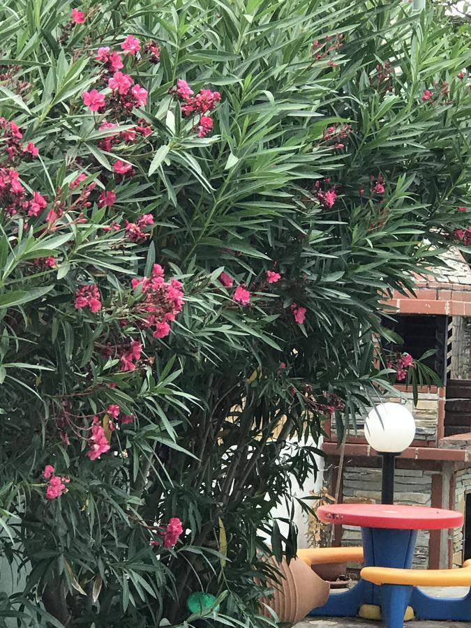 Maria Rooms וראסנה מראה חיצוני תמונה